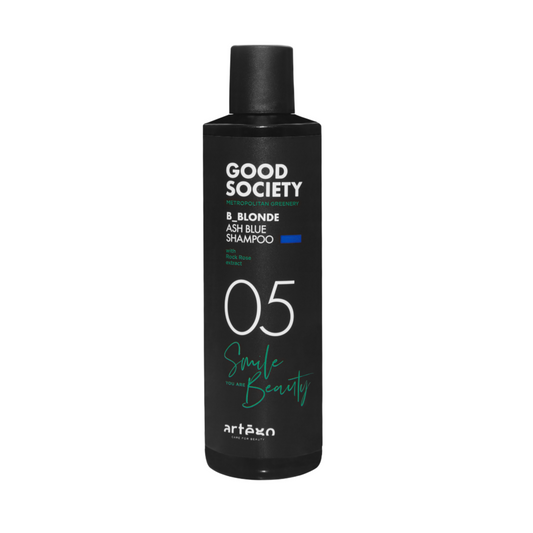 Artego 05 B_Blonde Ash Shampoo