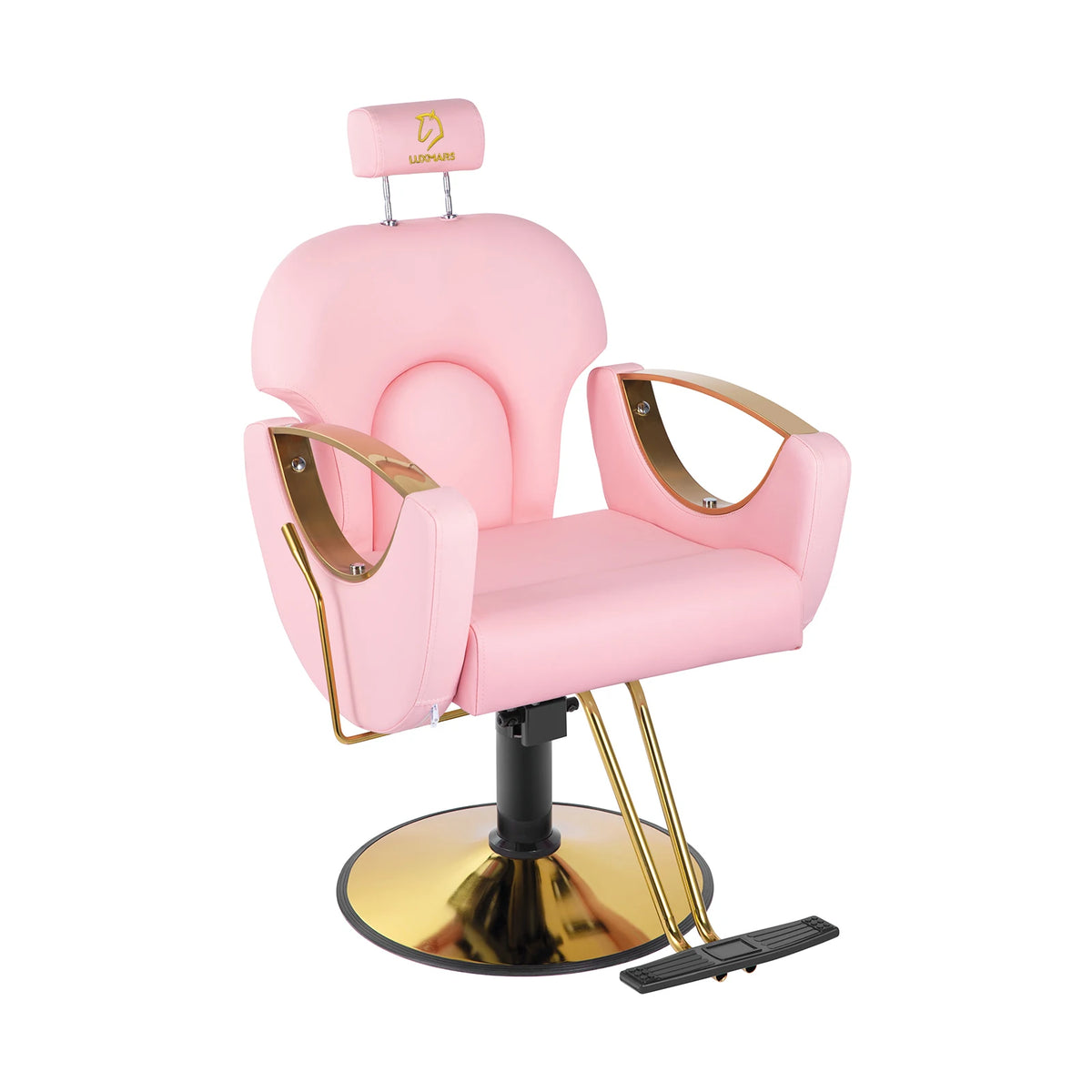 Salon Barber Chair Hydraulic Hair Chair with Reclining Backrest Adjustable Hydraulic Pump Beauty Chair for Barbershop Salon