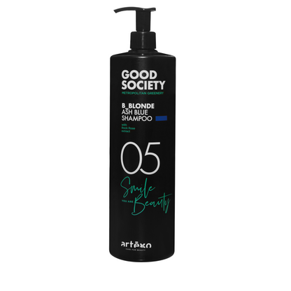 Artego 05 B_Blonde Ash Shampoo