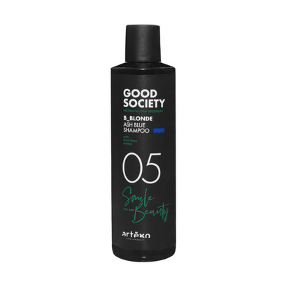Artego 05 B_Blonde Ash Shampoo