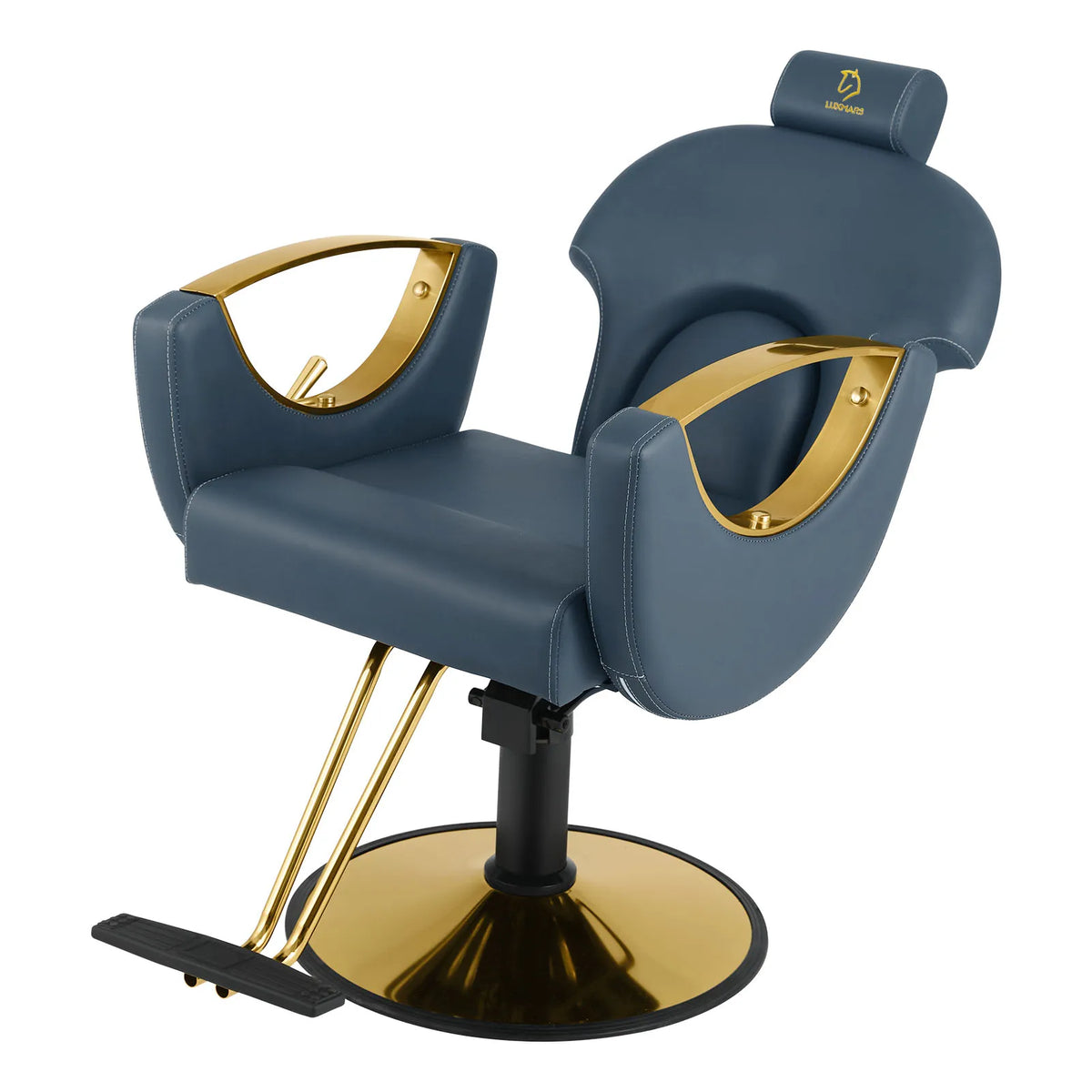 Salon Barber Chair Hydraulic Hair Chair with Reclining Backrest Adjustable Hydraulic Pump Beauty Chair for Barbershop Salon