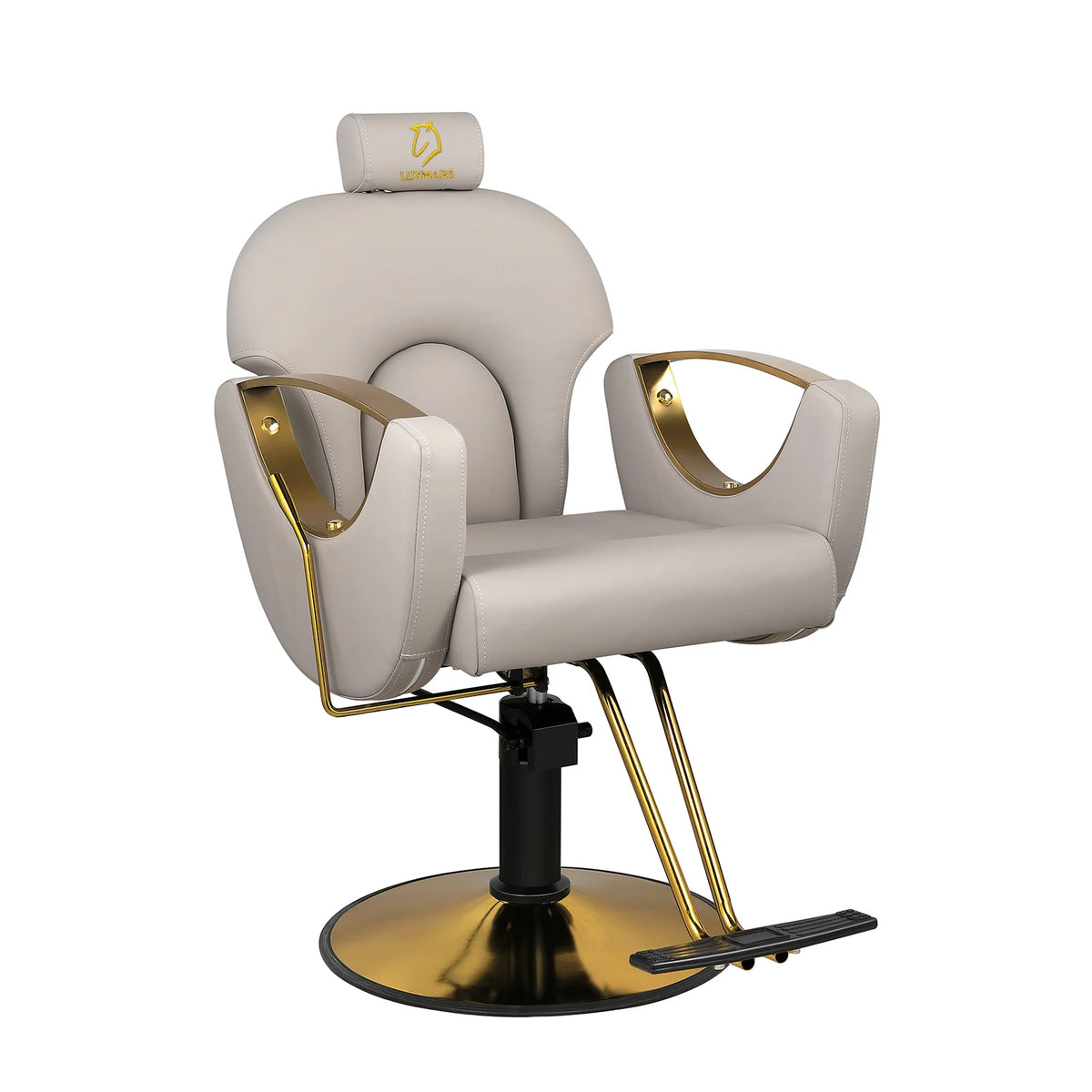 Salon Barber Chair Hydraulic Hair Chair with Reclining Backrest Adjustable Hydraulic Pump Beauty Chair for Barbershop Salon
