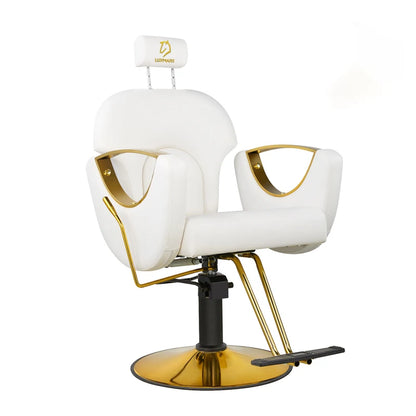 Salon Barber Chair Hydraulic Hair Chair with Reclining Backrest Adjustable Hydraulic Pump Beauty Chair for Barbershop Salon
